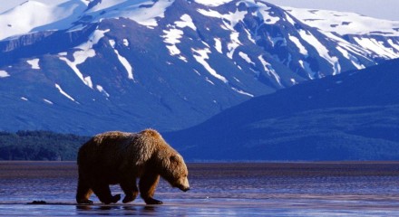ROCOSAS CANADIENSES