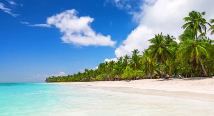 PUNTA CANA Cupos