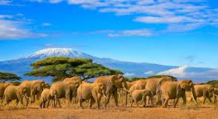 CORAZON DE AFRICA (KENIA, TANZANIA Y ZANZIBAR)