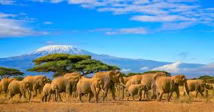 CORAZON DE AFRICA (KENIA, TANZANIA Y ZANZIBAR)